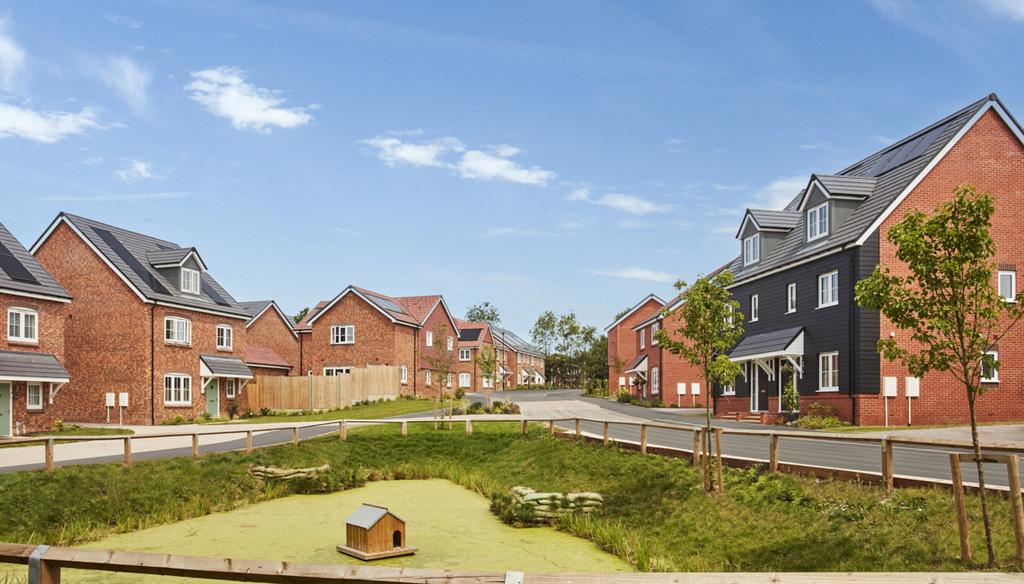 Streetscene Photography