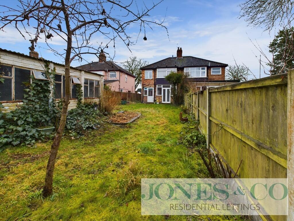 Back garden
