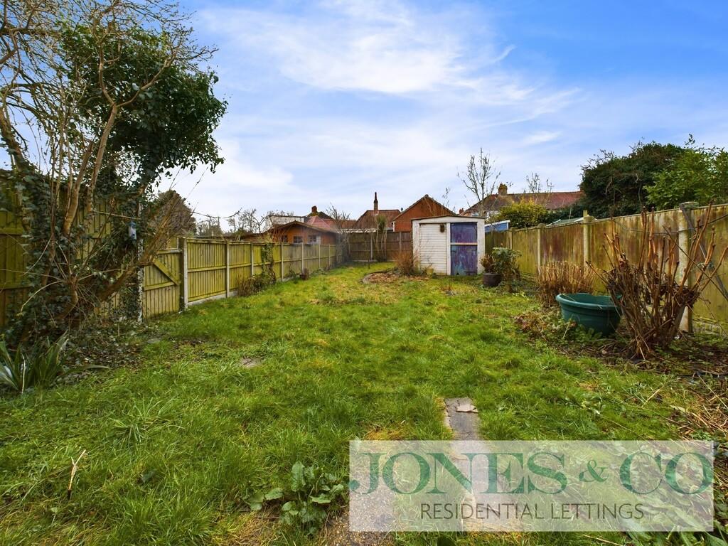Back garden