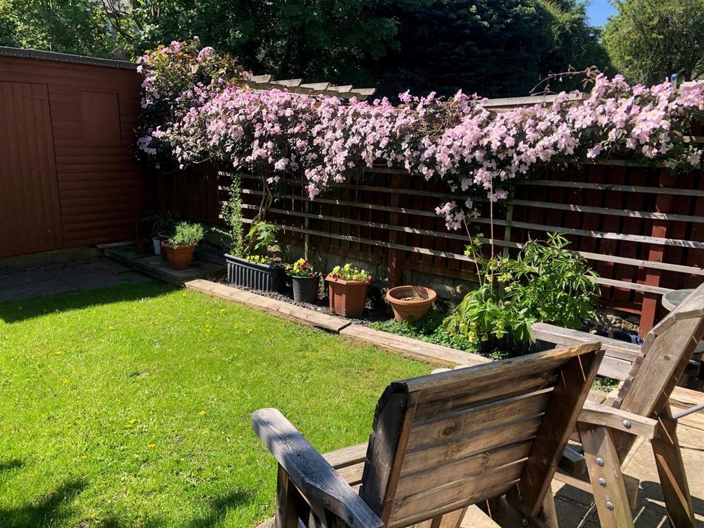 Garden 4.jpg