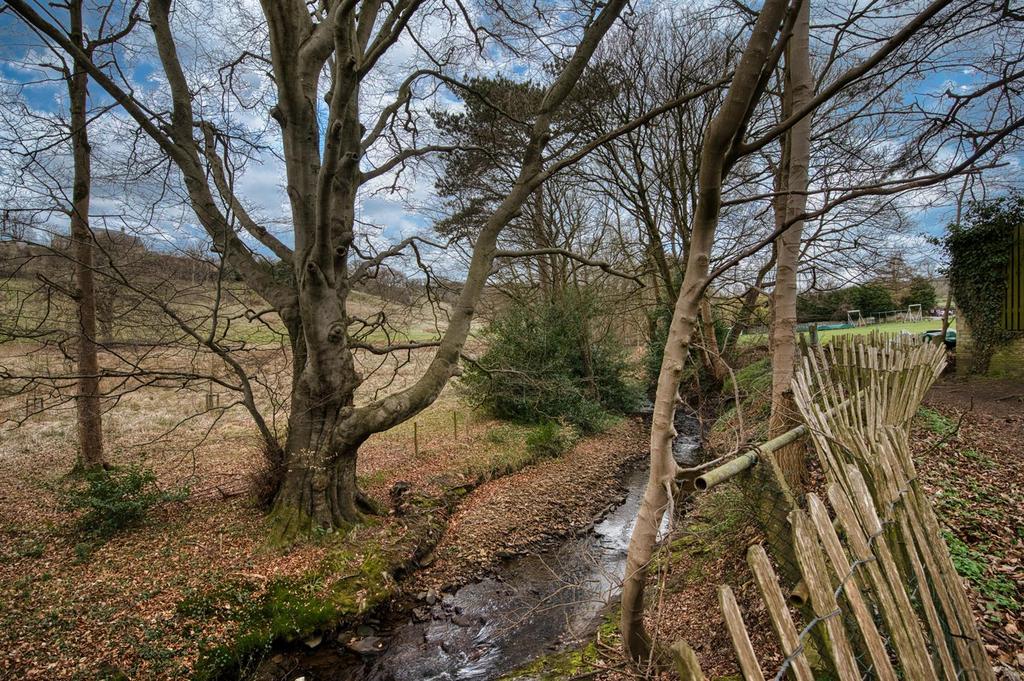 DSC 7132 hdr.jpg