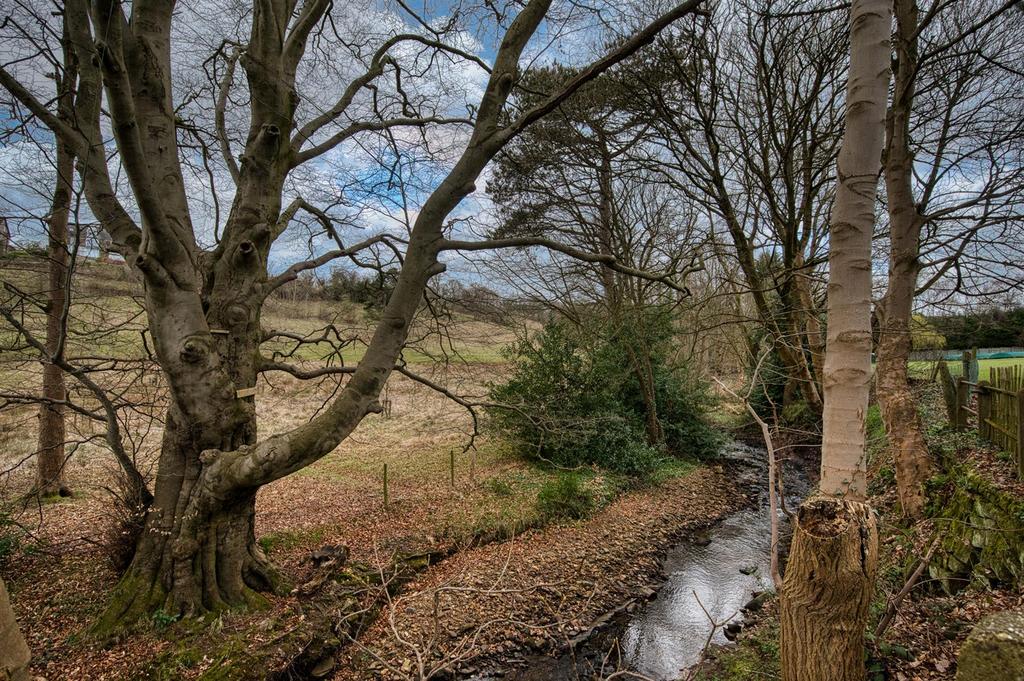 DSC 7129 hdr.jpg