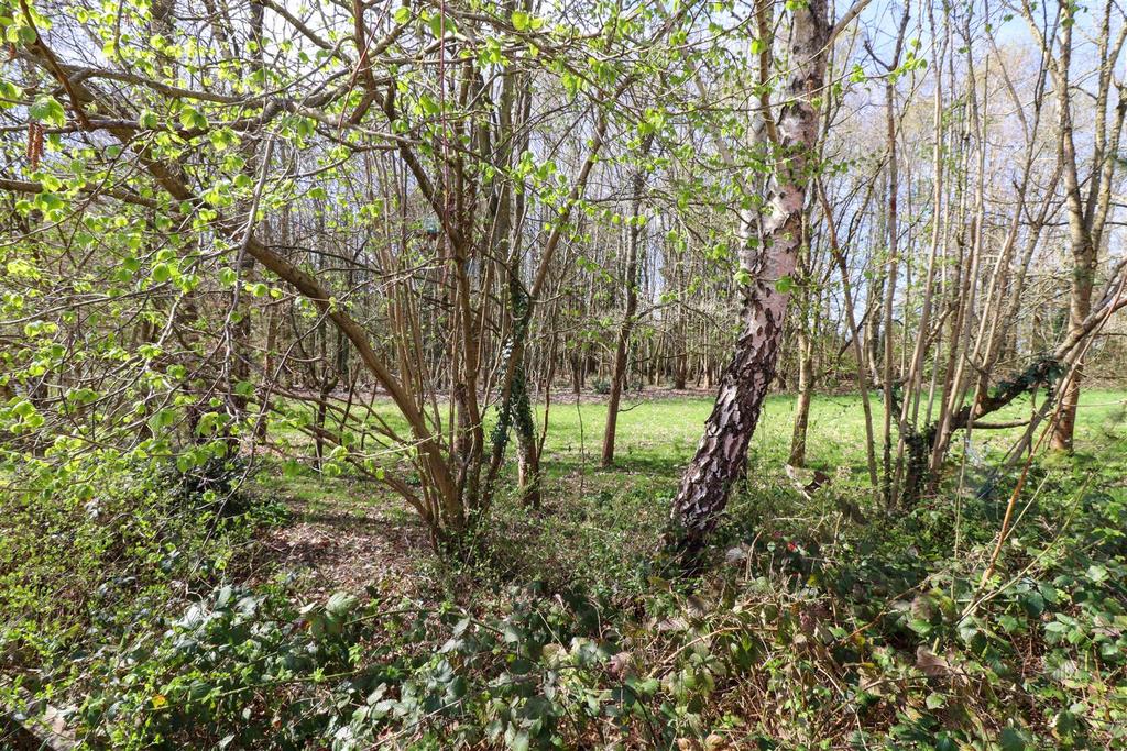 Front View - Nature Reserve