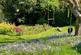 Flower Garden 29th April 2025