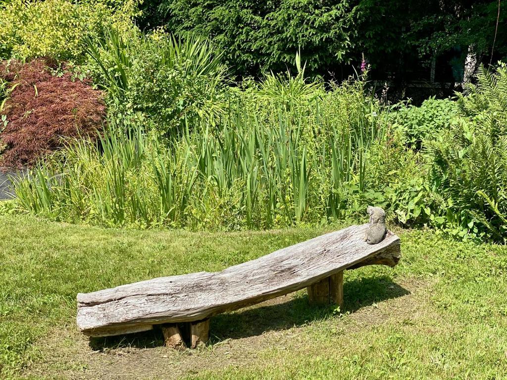 Bench June 2025