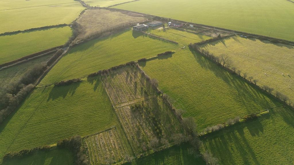 The land (fourth image)