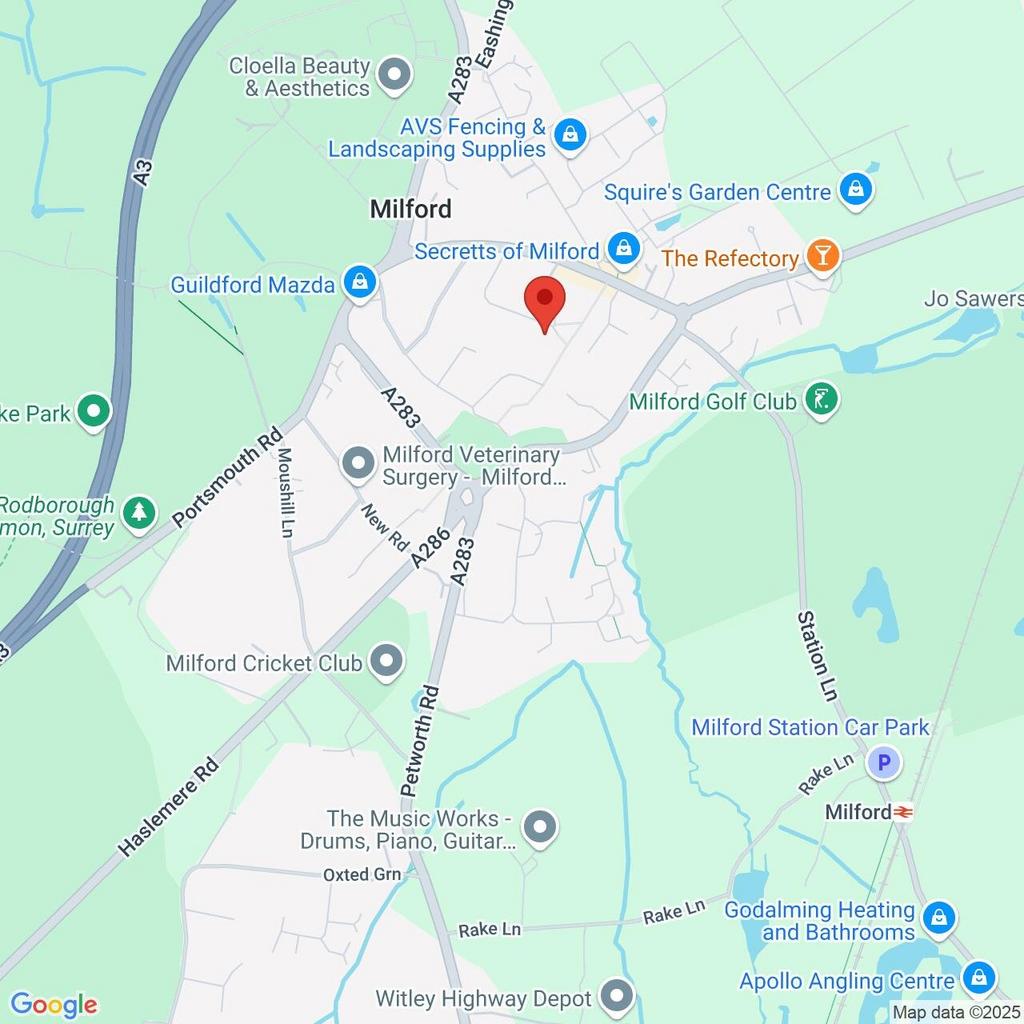 Google Maps Image