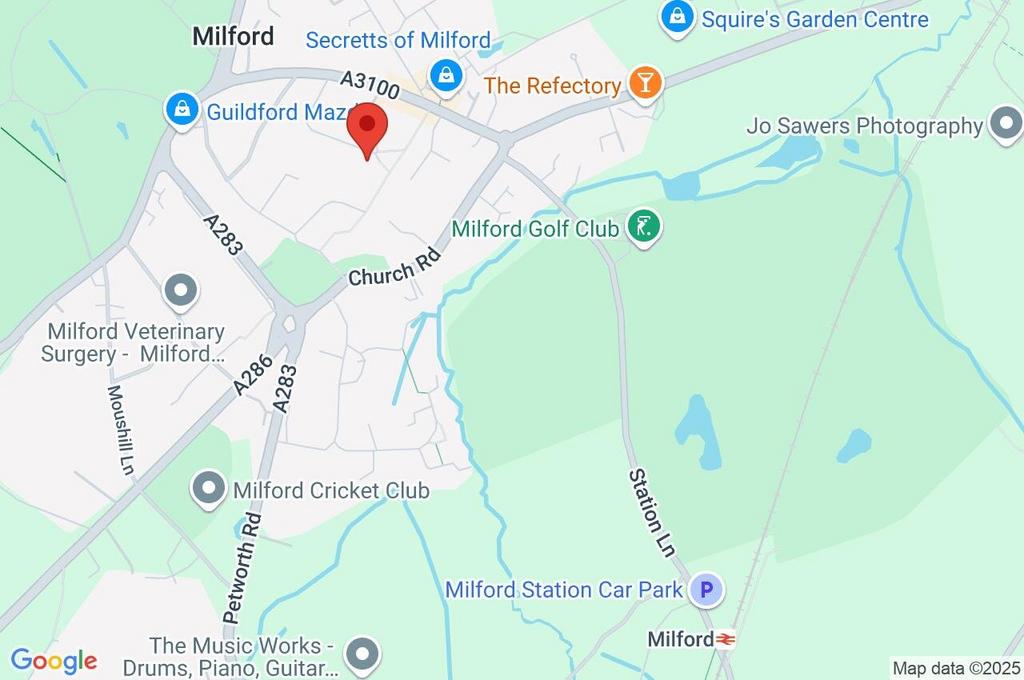 Google Maps Image