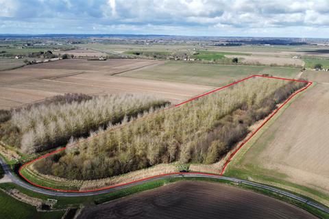 undefined, 10.45 Acres of Established Woodland, Wainfleet St Mary
