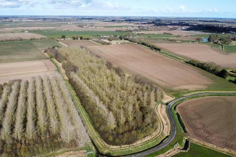 undefined, 10.45 Acres of Established Woodland, Wainfleet St Mary