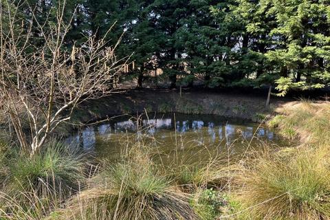 undefined, 10.45 Acres of Established Woodland, Wainfleet St Mary