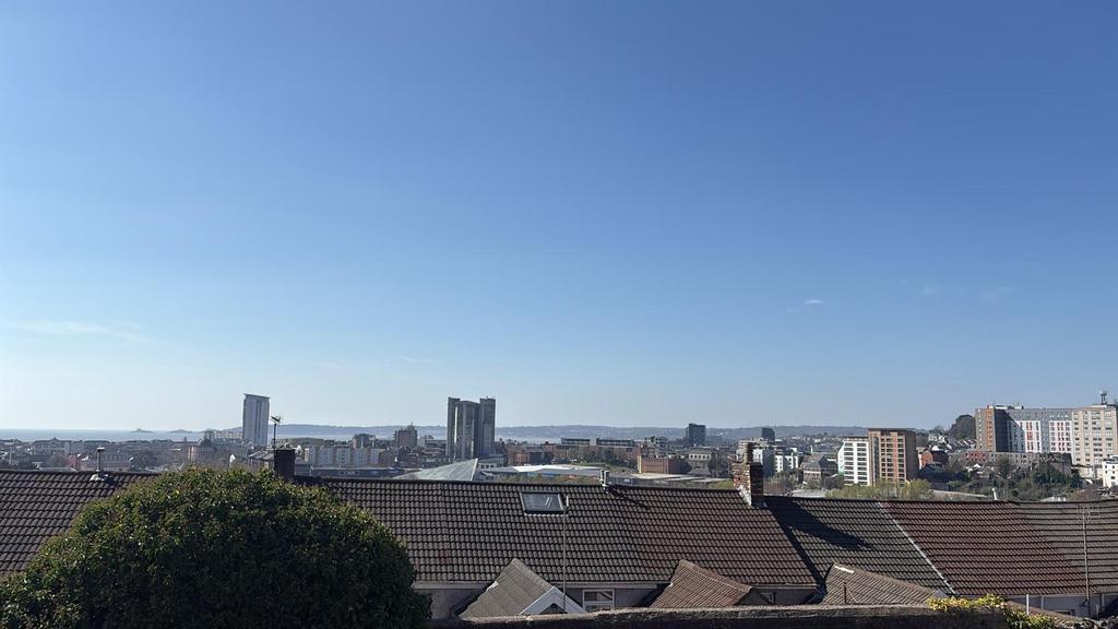 View.jpg