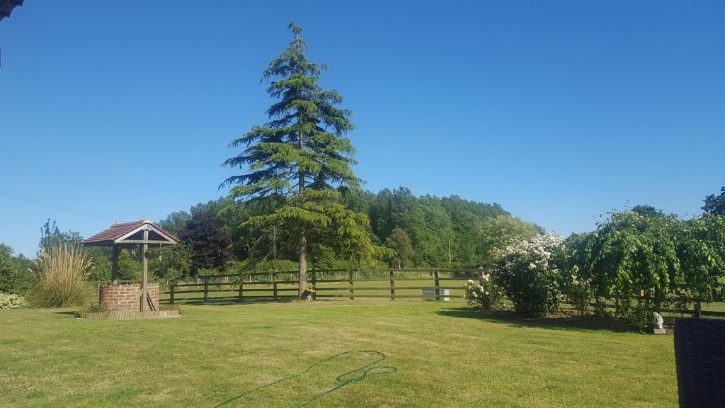 Front Garden (summer 2023)