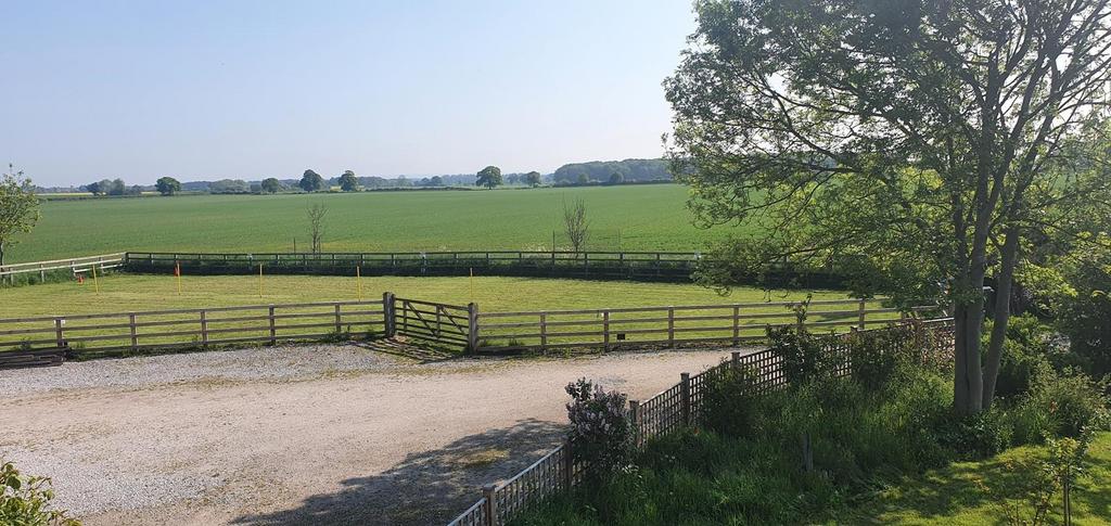 Smaller paddock (summer 2023)