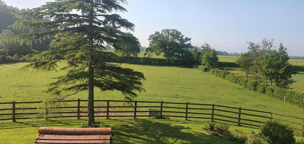 Large front paddock (summer 2023)