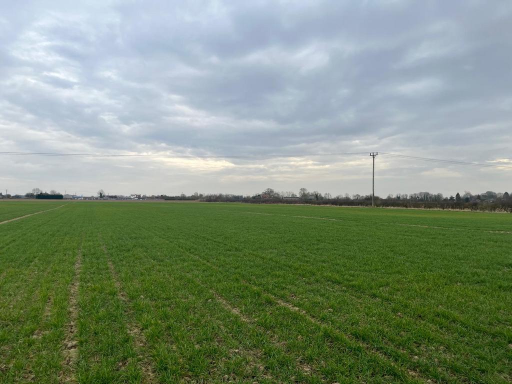 Lot 4