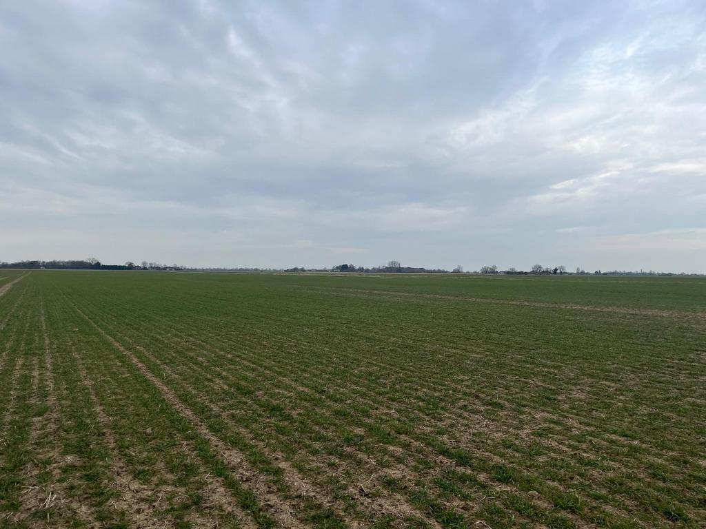 Lot 5