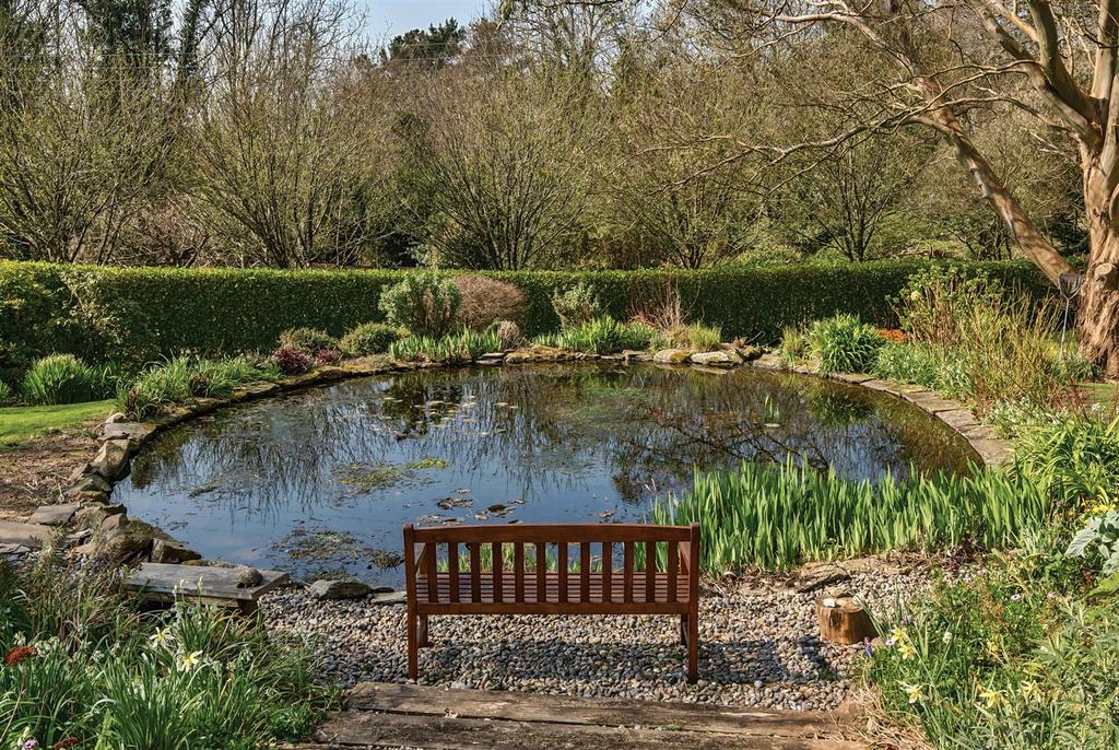Pond