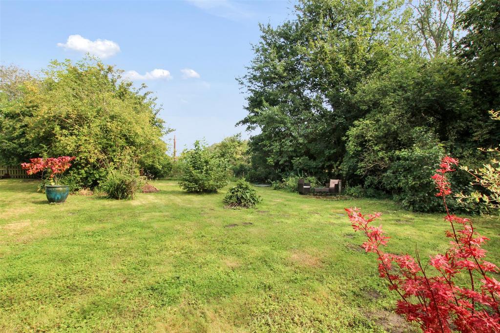 Garden - b.jpg