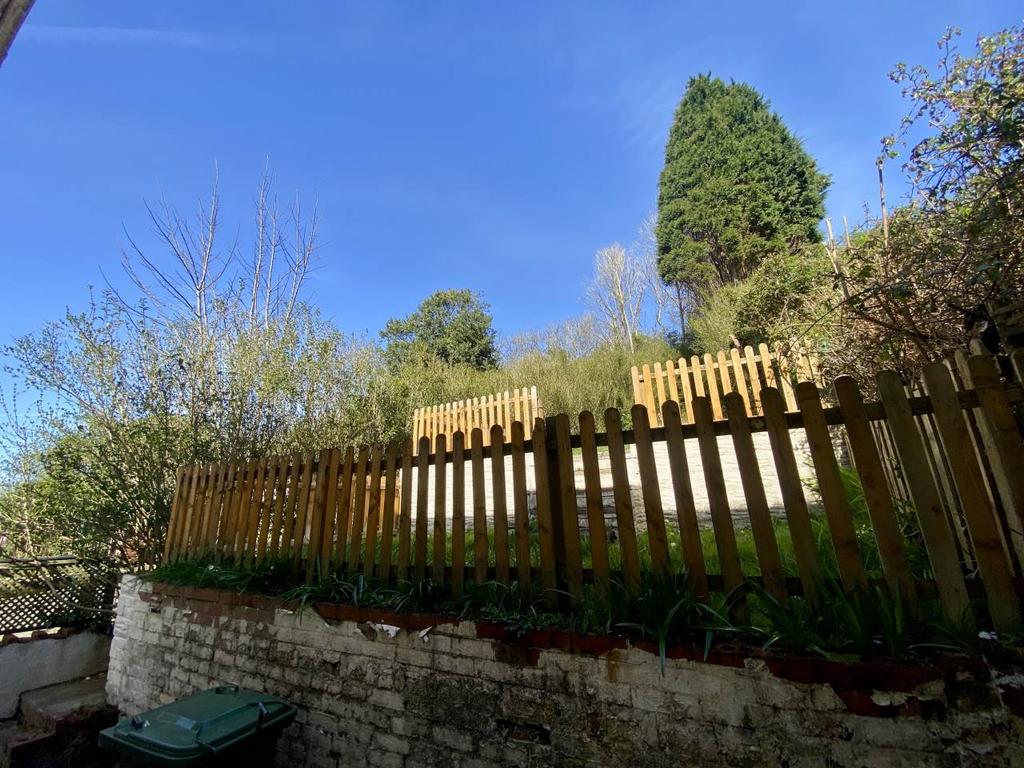 Back garden