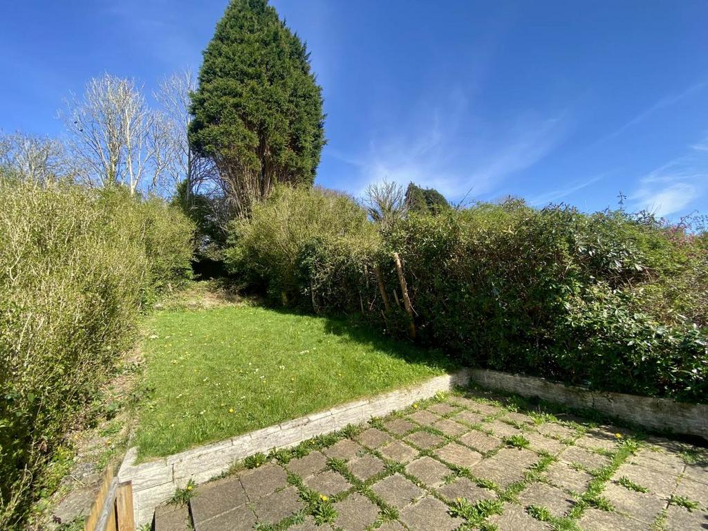 Back garden