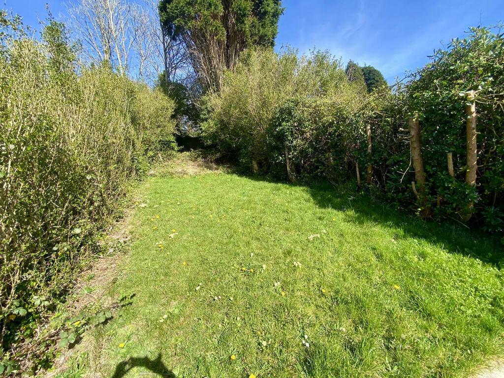 Back garden
