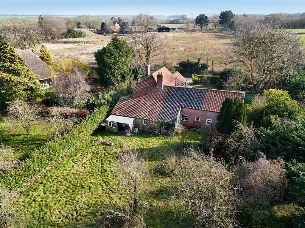 DJI 20250319145202 0034 D.jpg