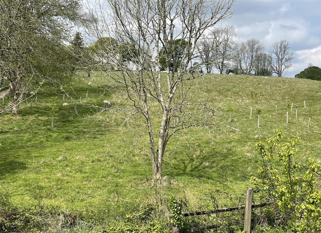 View from bedroom.jpeg