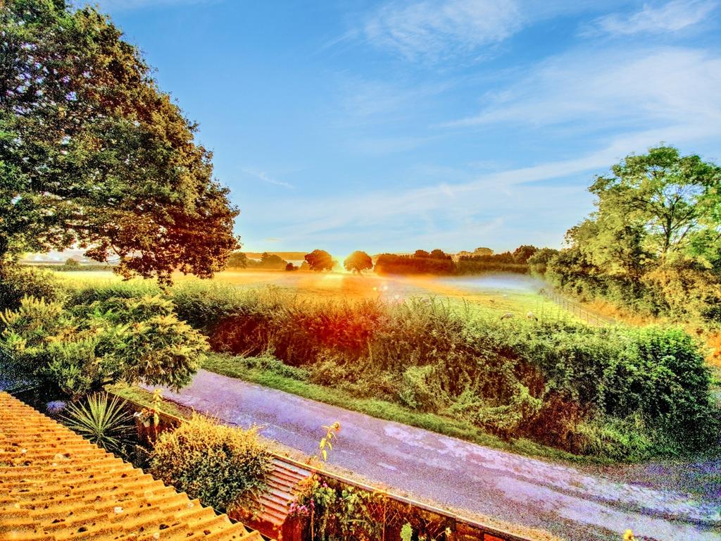 View From Garden