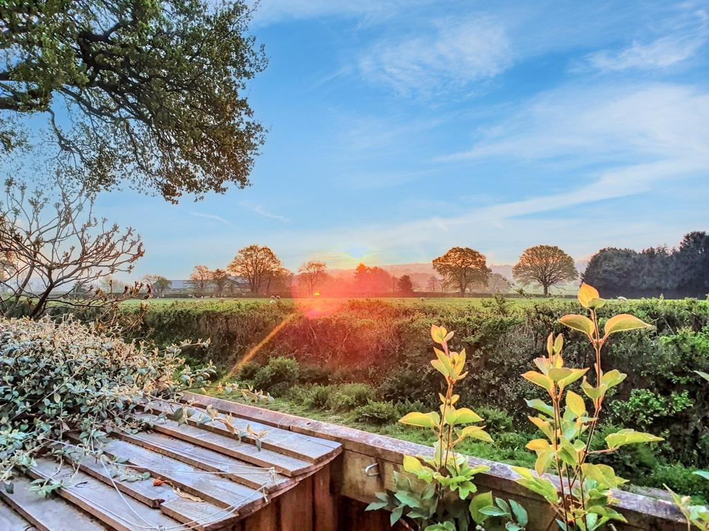 View From Garden