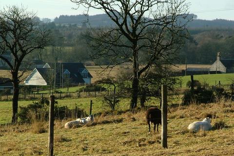 Plot for sale, Residential Development - Option 2, Drum, KY13