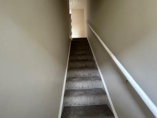 IMG 7993.jpg