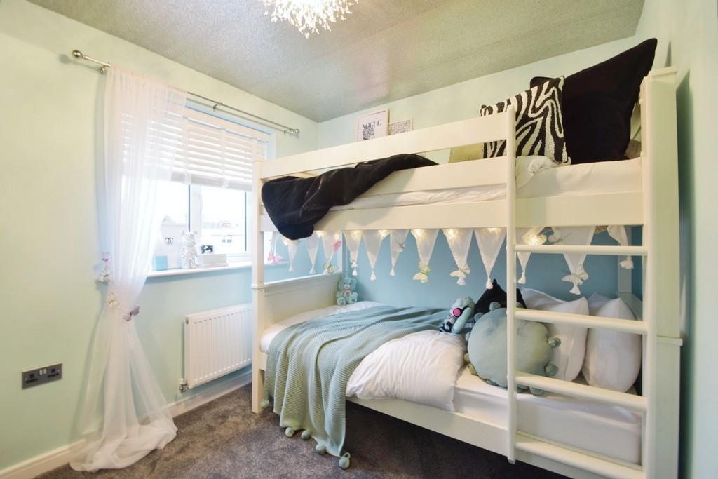 IMG 8563 11 large