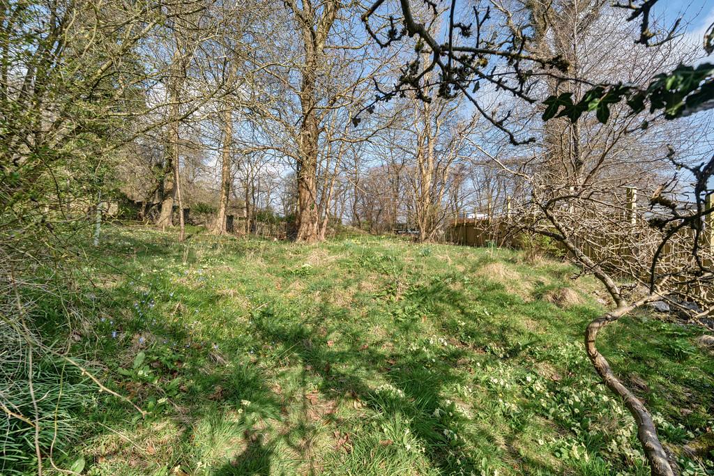 Woodland