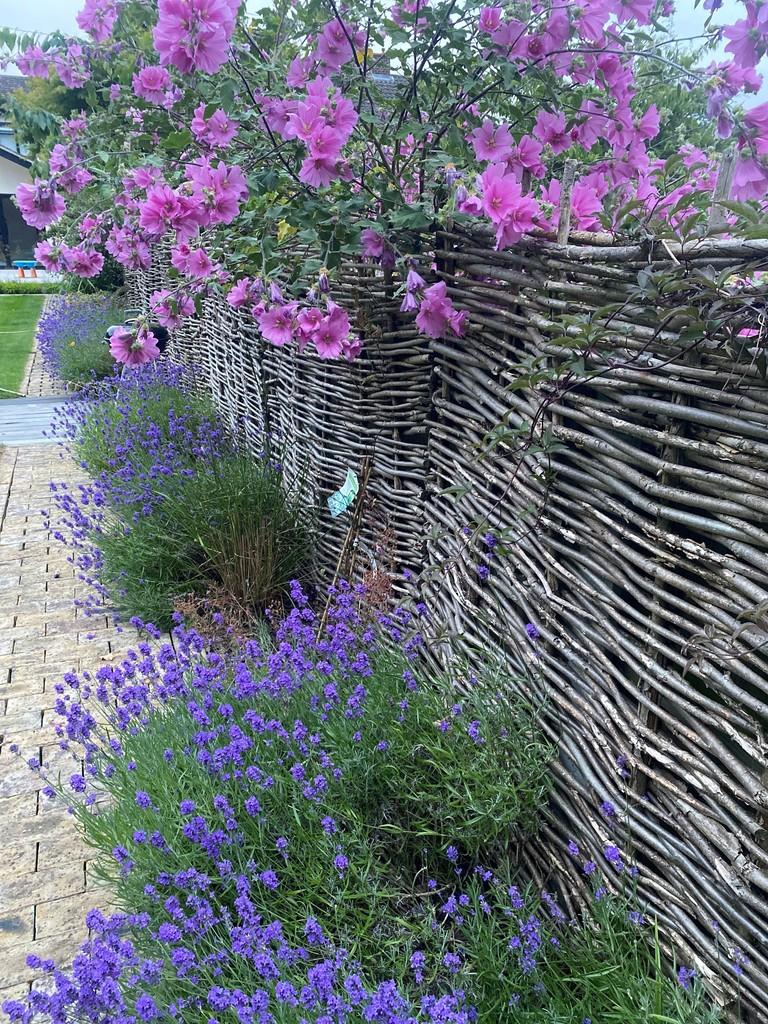 Garden 2