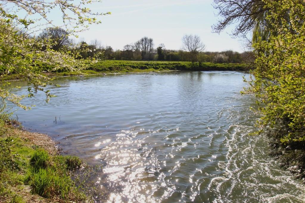 Mill pond