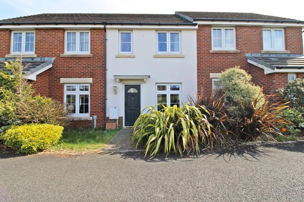 Front Aspect
