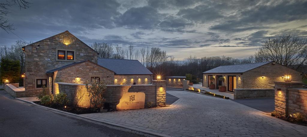 Brook Bottom By Night - wide