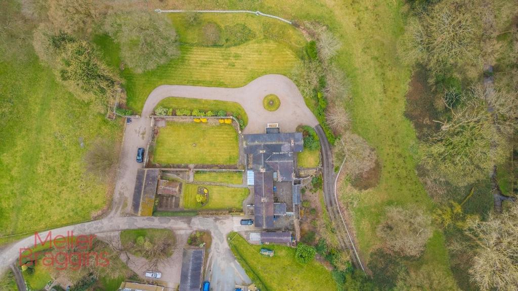 20250321-20250321-DJI 0158 (2).jpg