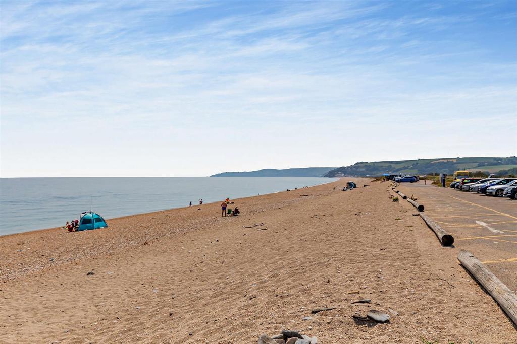 Local Beach