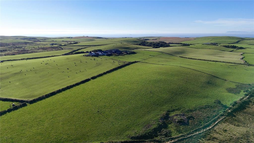 Fields