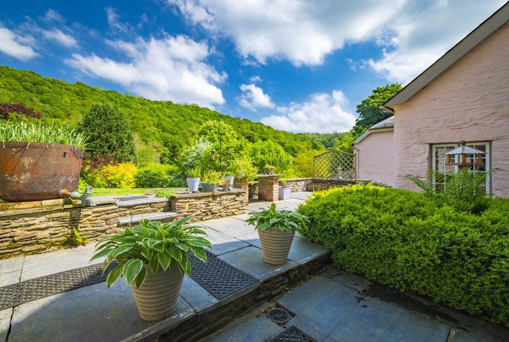 Terrace &amp; Patio Area