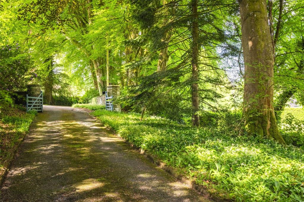 Entrance Drive