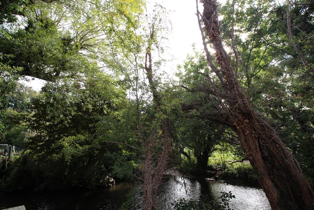 Img 7620.jpg