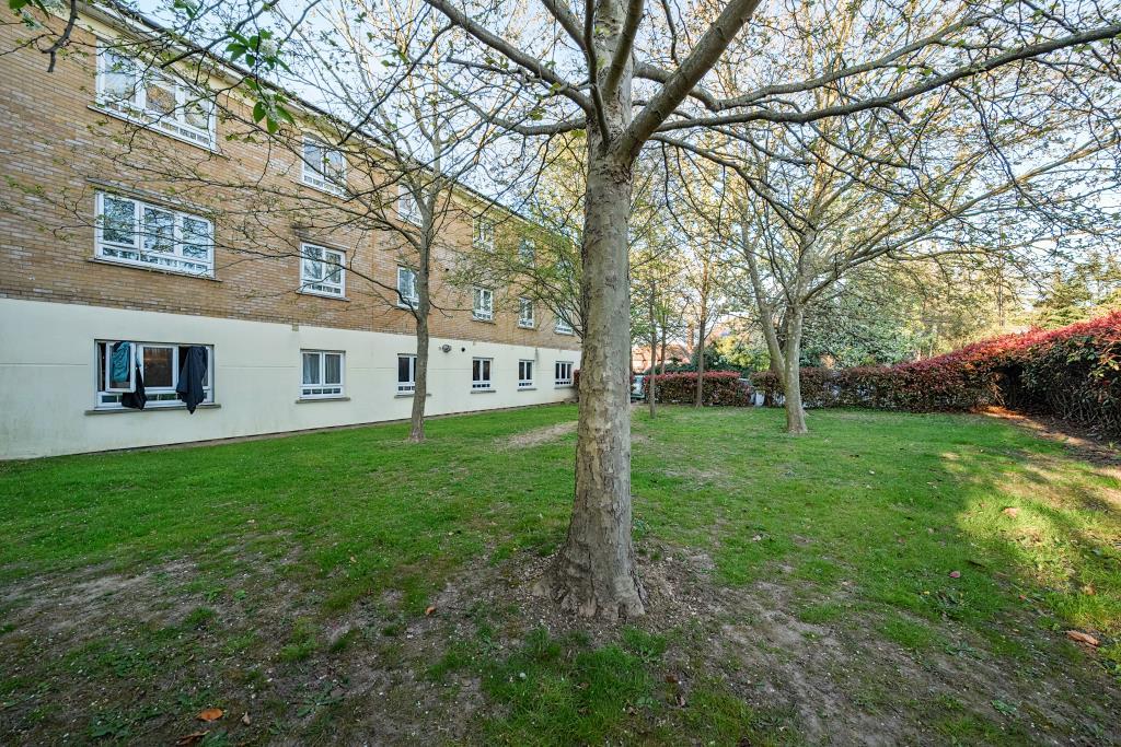 External View