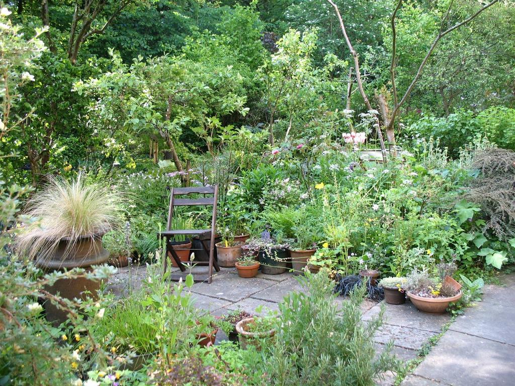 Summer garden