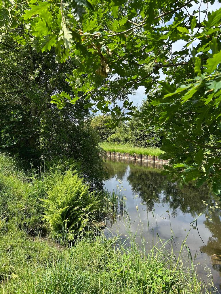 Photograph 31