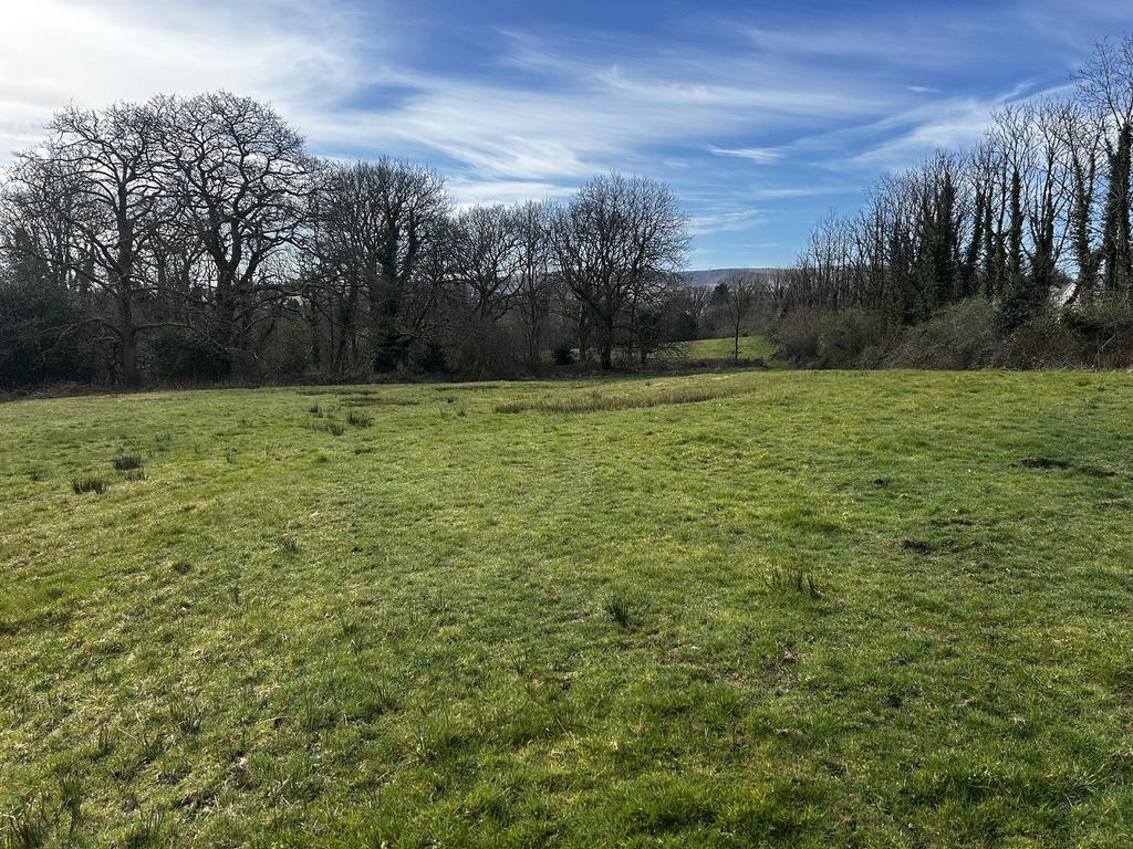 Field