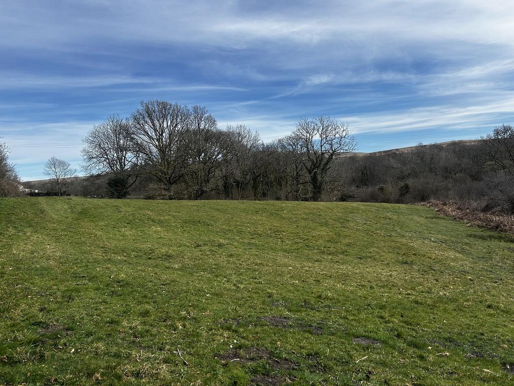 Field