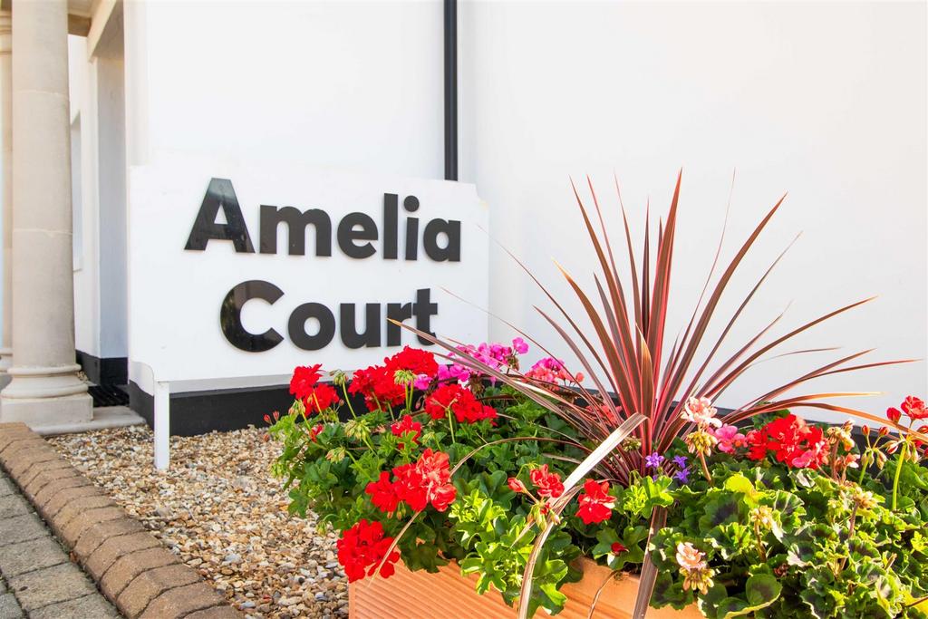 Amelia-10.jpg